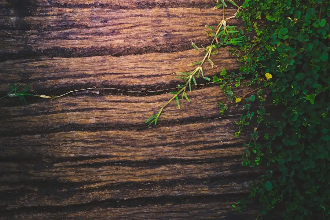 重庆会议服务全流程执行标准与场地布置要点解析
