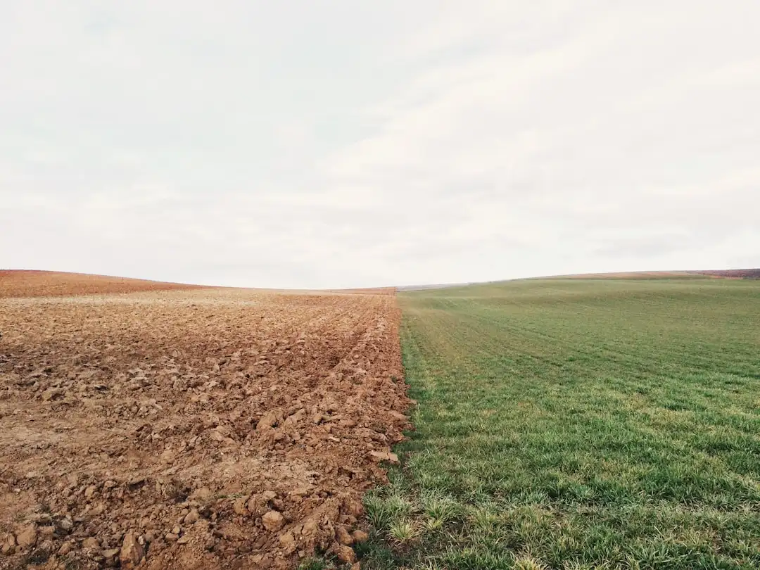 大型会议服务中的智能签到系统技术方案与选型要点